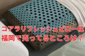 コアラリフレッシュピロー枕はどこで売ってる？ 福岡のコストコ・ロフト・カインズなどを調査のアイキャッチ画像